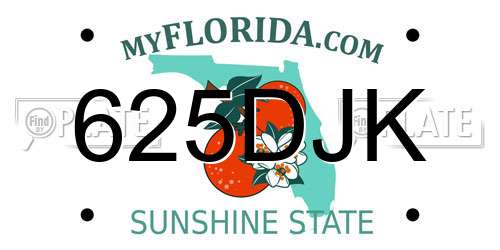 625DJK Florida License Plate