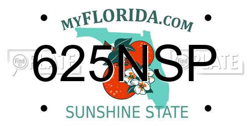 625NSP Florida License Plate