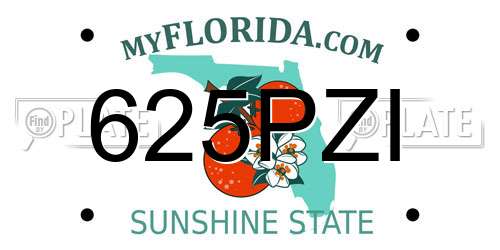 625PZI Florida License Plate