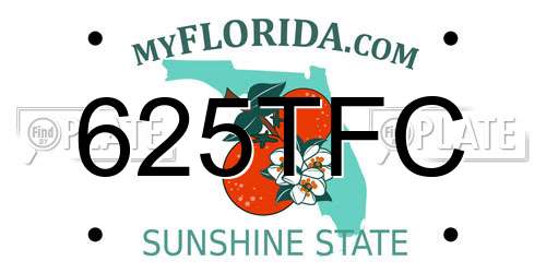 625TFC Florida License Plate