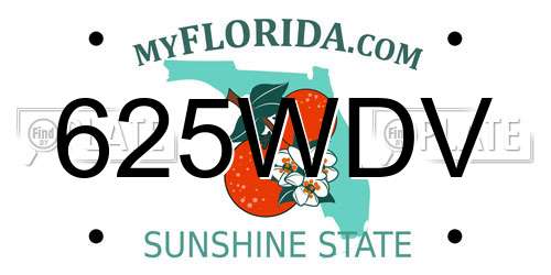 625WDV Florida License Plate