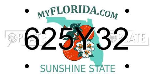 625Y32 Florida License Plate