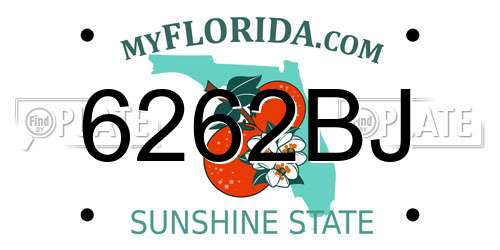 6262BJ Florida License Plate