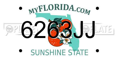 6263JJ Florida License Plate