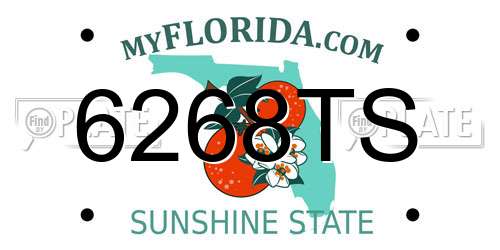 6268TS Florida License Plate