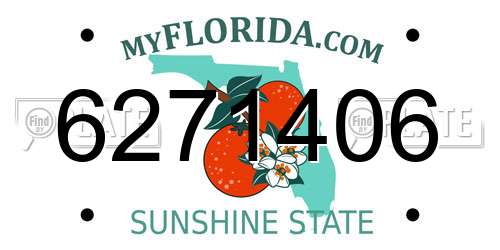 6271406 Florida License Plate