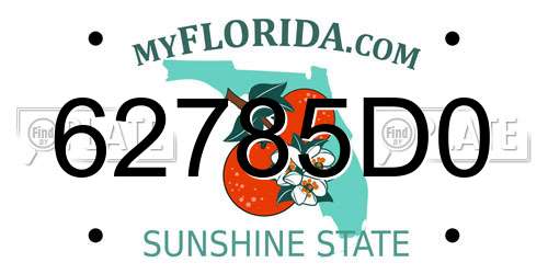 62785D0 Florida License Plate