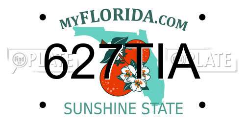627TIA Florida License Plate