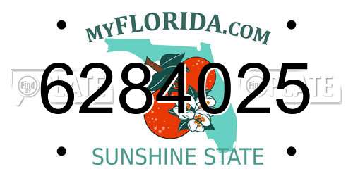 6284025 Florida License Plate