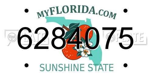 6284075 Florida License Plate