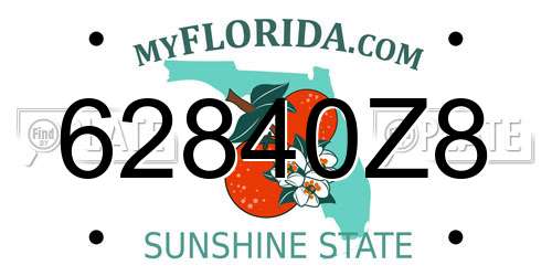 62840Z8 Florida License Plate