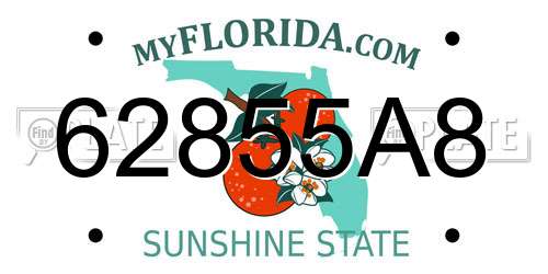 62855A8 Florida License Plate