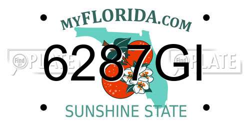 6287GI Florida License Plate