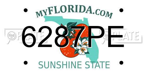 6287PE Florida License Plate