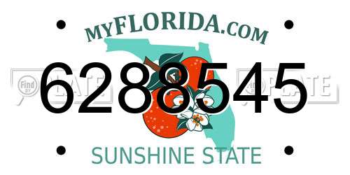 6288545 Florida License Plate