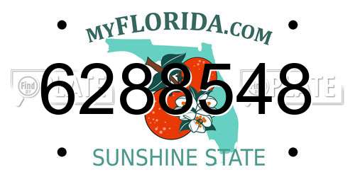 6288548 Florida License Plate