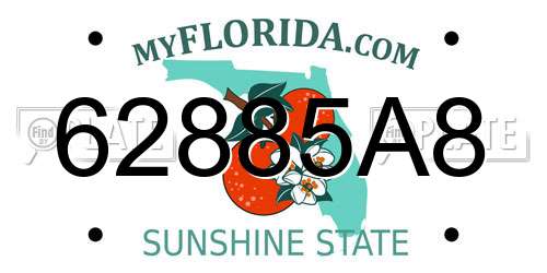 62885A8 Florida License Plate