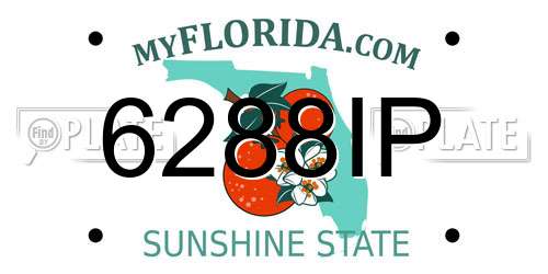 6288IP Florida License Plate