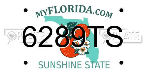 6289TS Florida License Plate