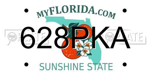 628PKA Florida License Plate