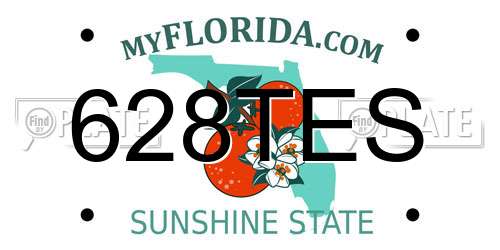 628TES Florida License Plate
