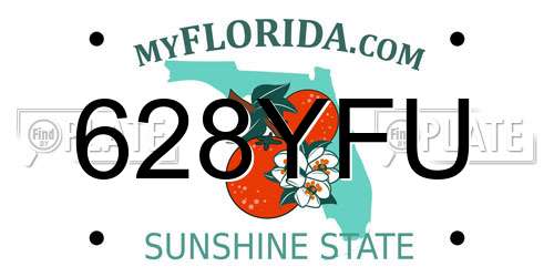 628YFU Florida License Plate