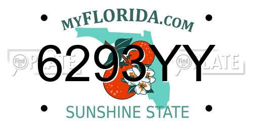 6293YY Florida License Plate