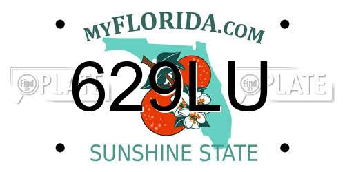 629LU Florida License Plate