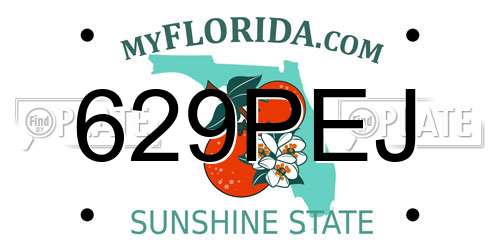 629PEJ Florida License Plate