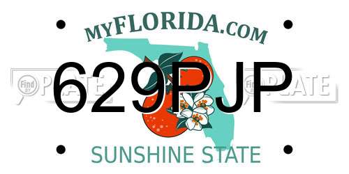 629PJP Florida License Plate