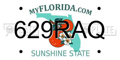 629RAQ Florida License Plate