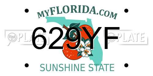 629YF Florida License Plate
