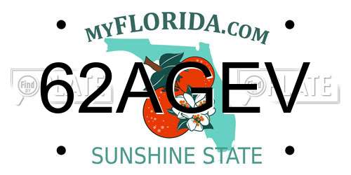 62AGEV Florida License Plate