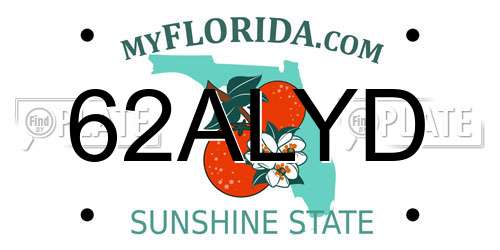 62ALYD Florida License Plate