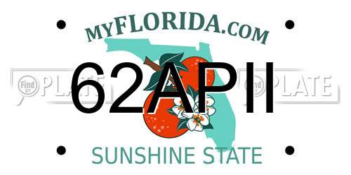 62APII Florida License Plate