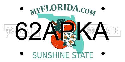 62APKA Florida License Plate