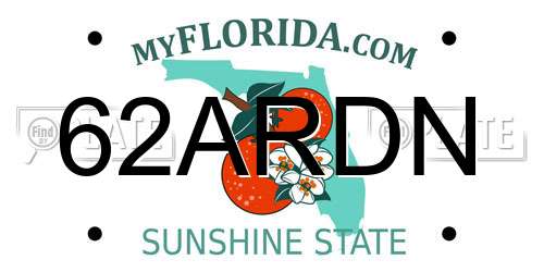 62ARDN Florida License Plate
