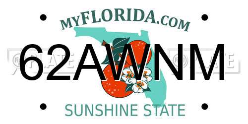 62AWNM Florida License Plate