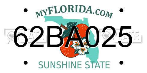 62BA025 Florida License Plate