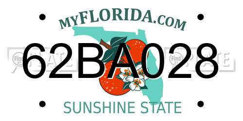62BA028 Florida License Plate