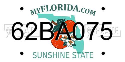 62BA075 Florida License Plate