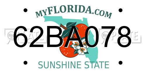 62BA078 Florida License Plate