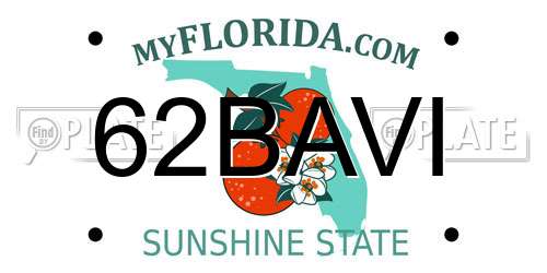 62BAVI Florida License Plate