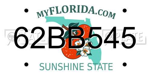 62BB545 Florida License Plate