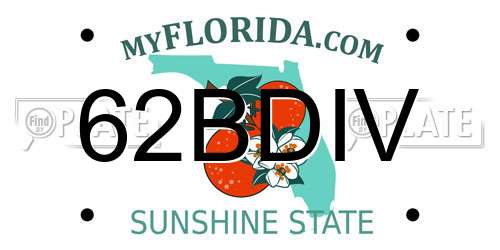 62BDIV Florida License Plate