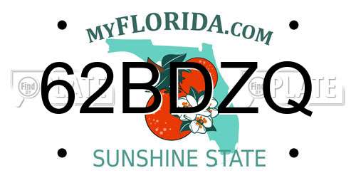 62BDZQ Florida License Plate