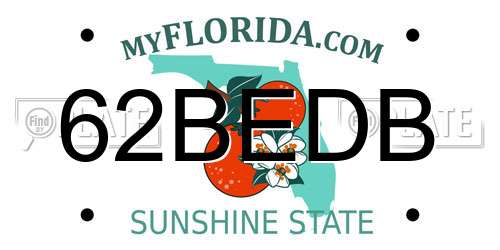 62BEDB Florida License Plate