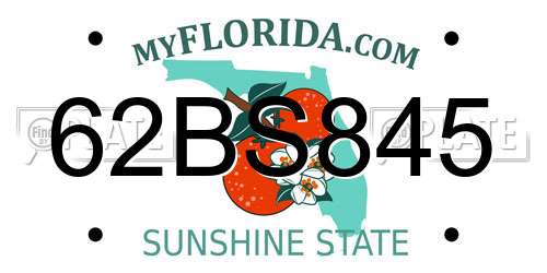 62BS845 Florida License Plate