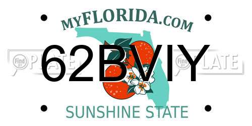 62BVIY Florida License Plate