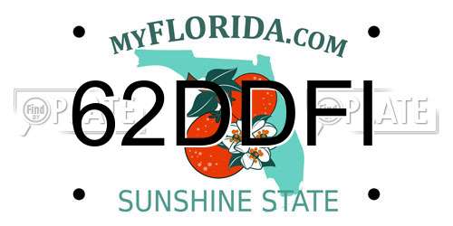 62DDFI Florida License Plate